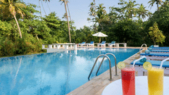 abad-turtle-resort-large-swimming-pool, Contact Beach Resort in Marari, Beach resorts in Allepey, 4 Star Resorts in Alleppey, Best Beach Resorts in Alleppey, Best Beach Resorts Near Cochin, Beach Resorts in Kerala