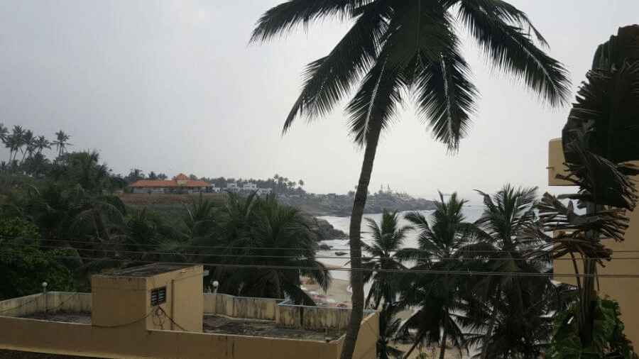 A distant view of buildings and palm trees seen from an elevated area