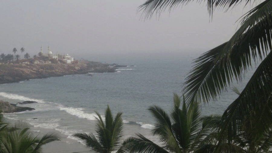A coastal view with rocky shoreline, palm trees, and the sea.