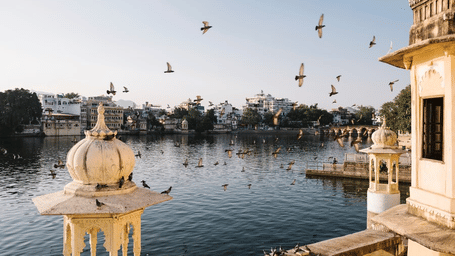 A wide shot of a lake with buildings and flying birds.