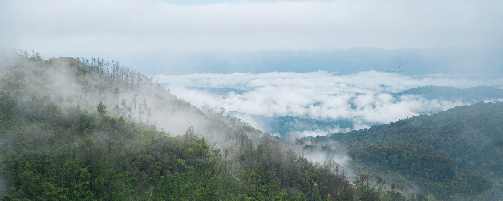 A wide shot of misty, green mountains and a cloudy sky at Stanley Revelation.