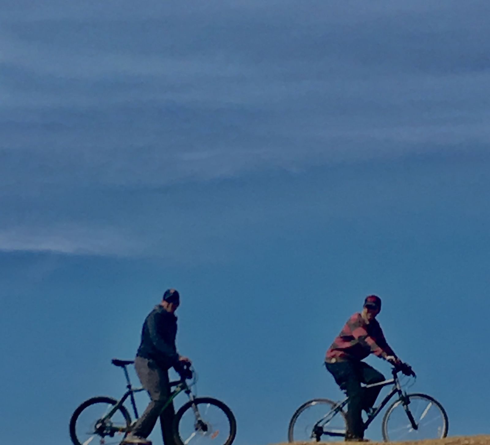 Two cyclists moving through a grassland on a clear blue day
