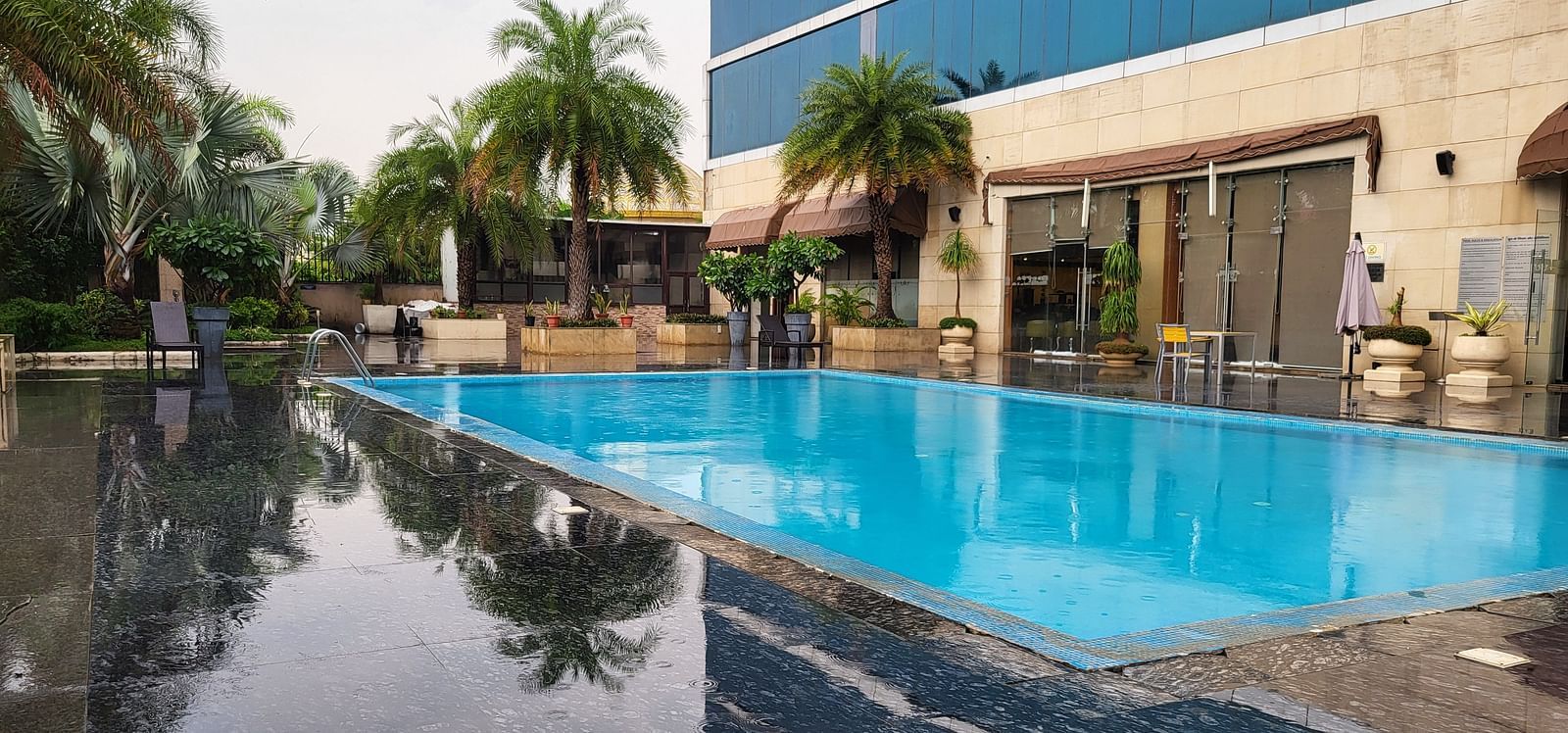 An image of a swimming pool surrounded by some palm trees in the property of Golden Suites Gurgaon