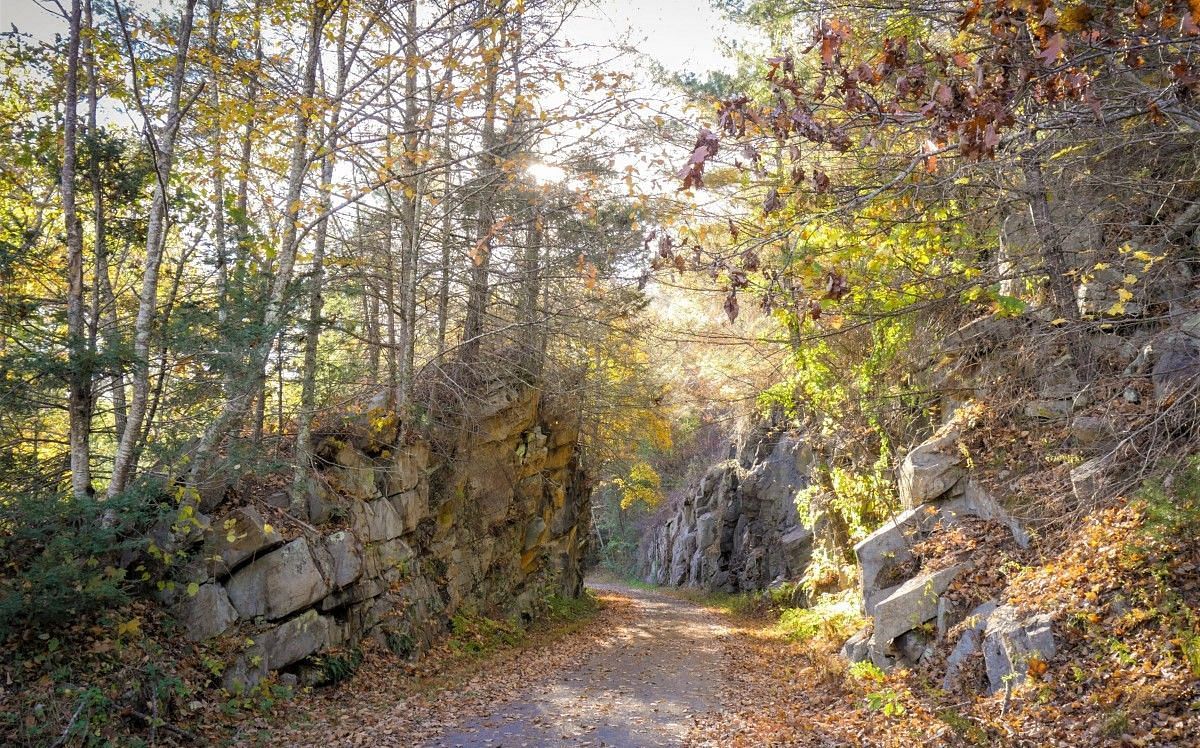 A narrow road winding between small rocky mountains, flanked by tall trees on either side. The scene captures a peaceful, natural setting, inviting exploration.
