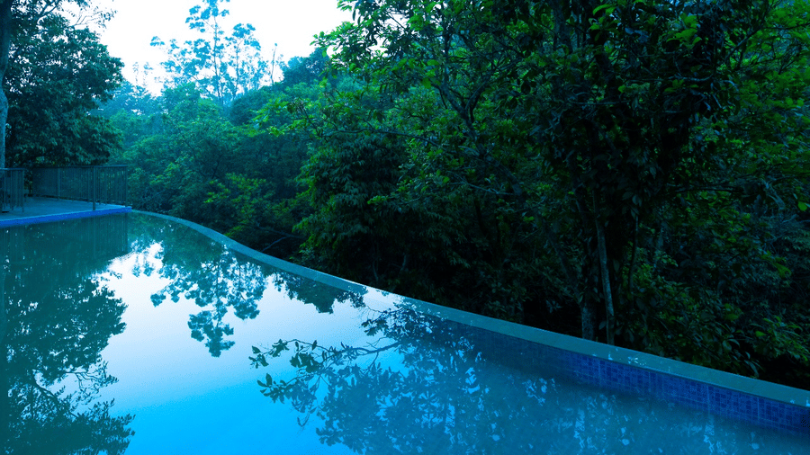 An infinity pool reflecting the surrounding trees and sky - Abad Brookside Lakkidi, Wayanad