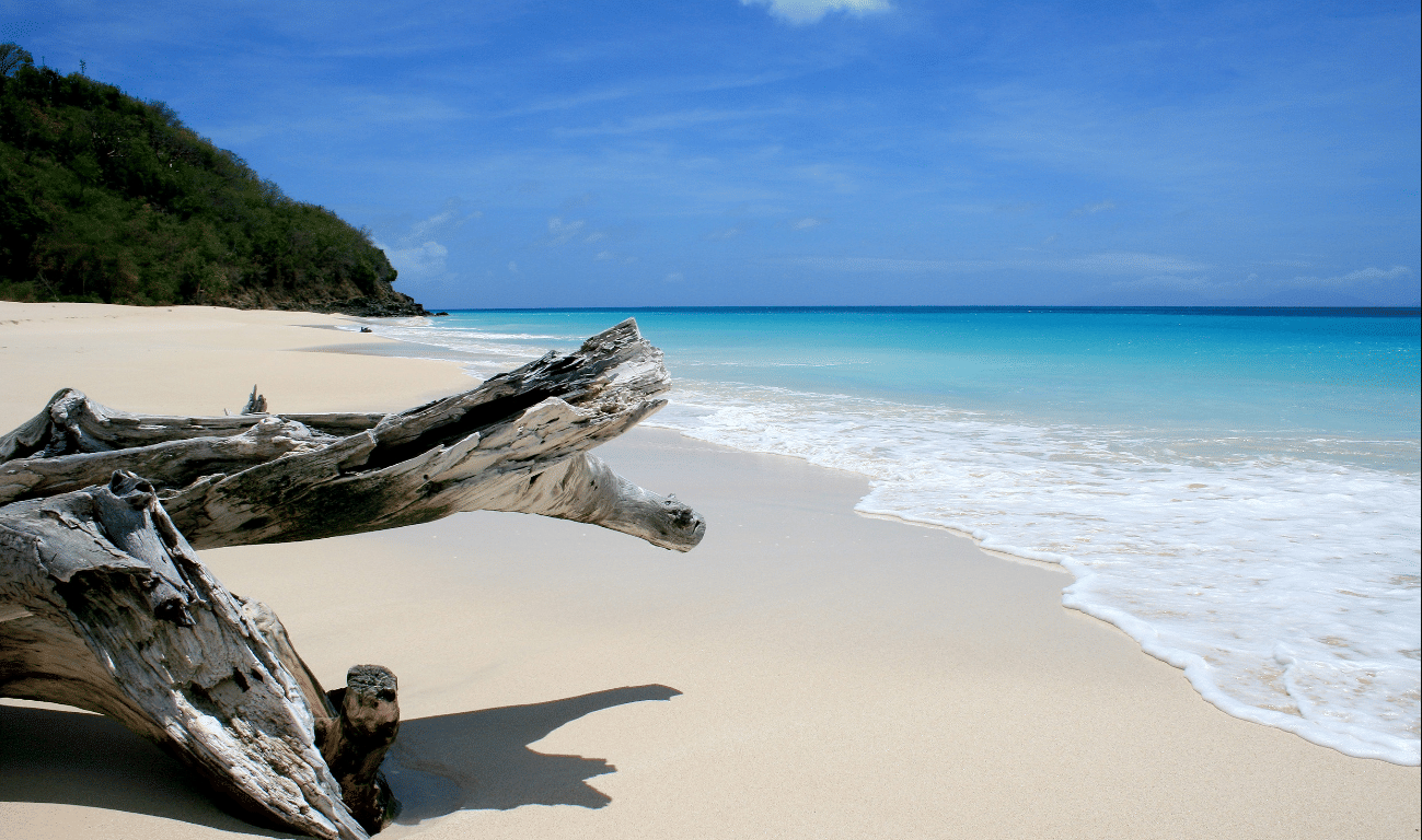 A sunlit tropical beach with soft white sand, turquoise waves, and driftwood resting near the shoreline—serene and scenic .