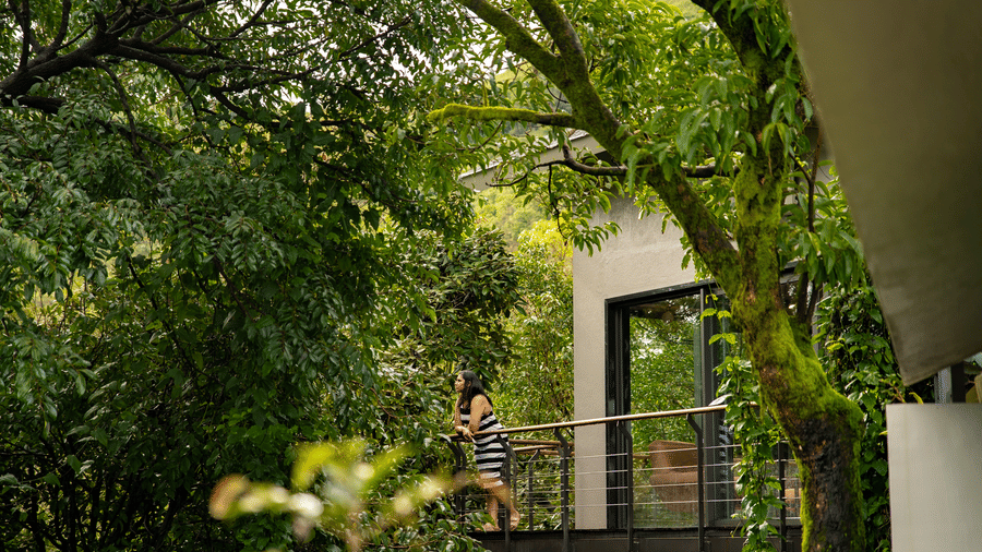 A person stands on a balcony in a modern building at Stanley Revelation, surrounded by lush green trees.
