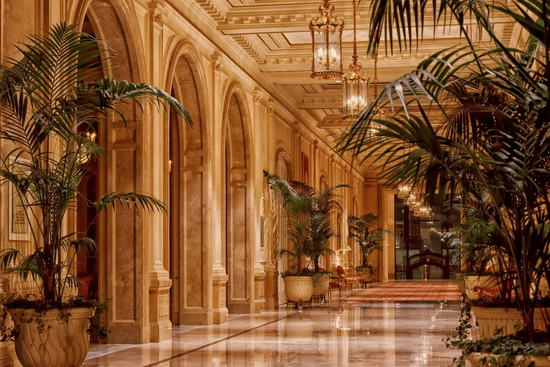 alt-text pexels-pixabay-53464