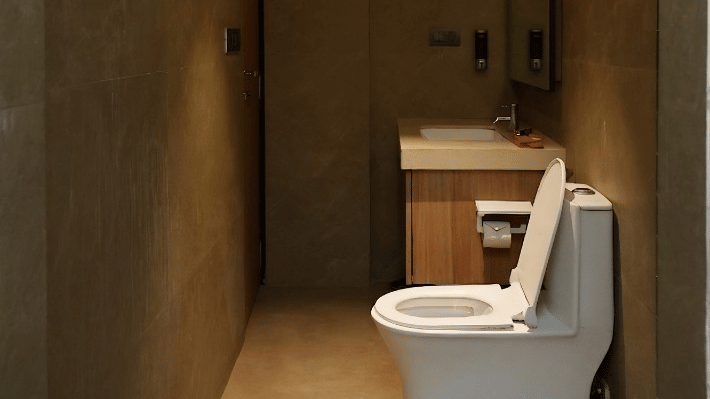 A narrow bathroom contains a toilet, a washbasin unit, a mirror, and a wall mounted shower head under a single spotlight at Bougainvillea, Alibaug.