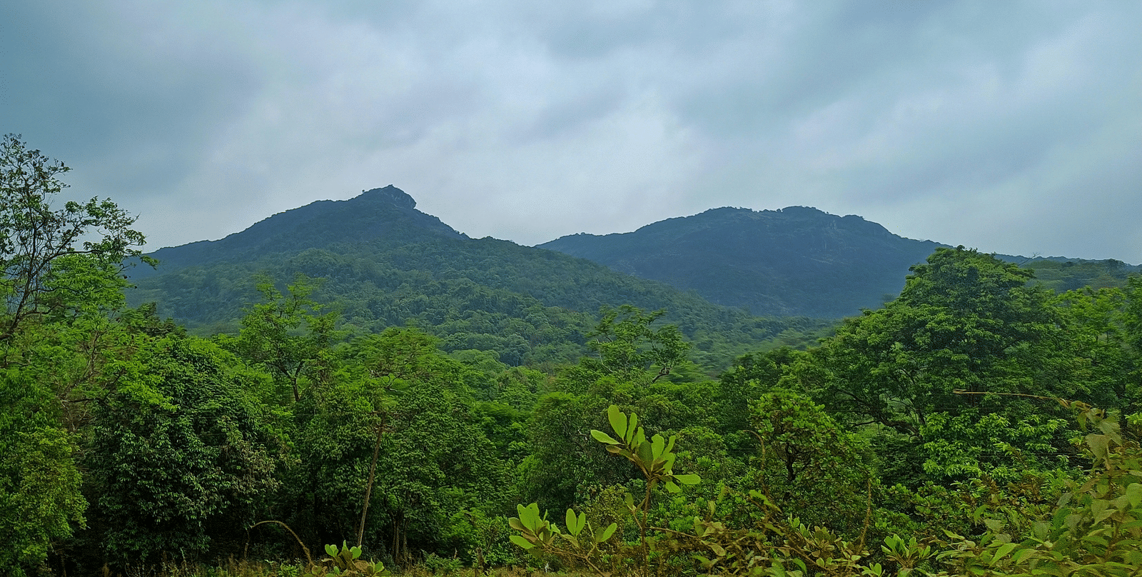 A view of the mountain ranges in the Aravali hills with a patch of greenery in the foreground.