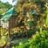 Great Escapes Resort, Munnar Munnar Tree House Great Escapes Resorts Munnar 3