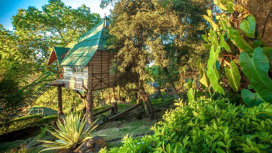 Great Escapes Resort, Munnar Munnar Tree House Great Escapes Resorts Munnar 3