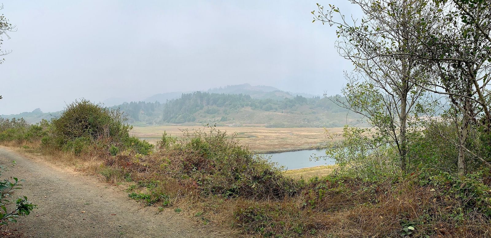 A dirt road leads to a marshy landscape with a winding river and hazy hills in the distance - Brewery Gulch Inn & Spa.