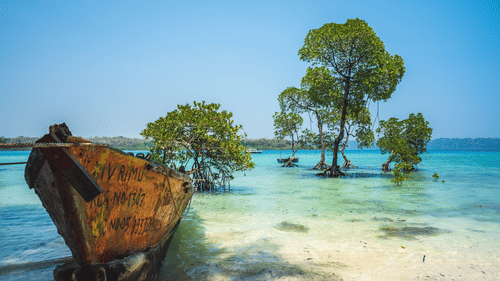 Port Blair Packages in Andaman and Nicobar Islands