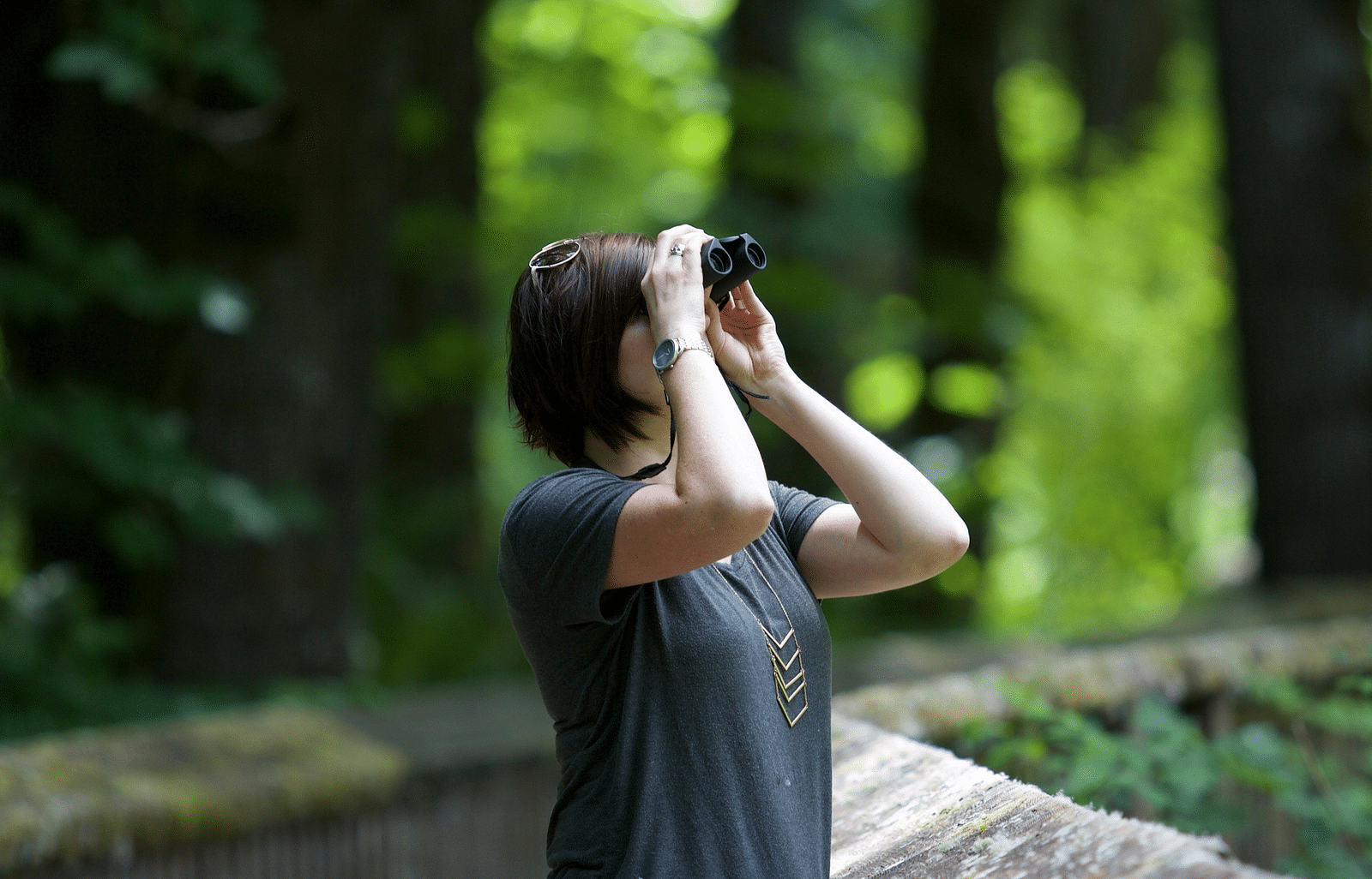 a woman birdwatching with binoculars