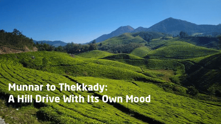 Munnar to Thekkady