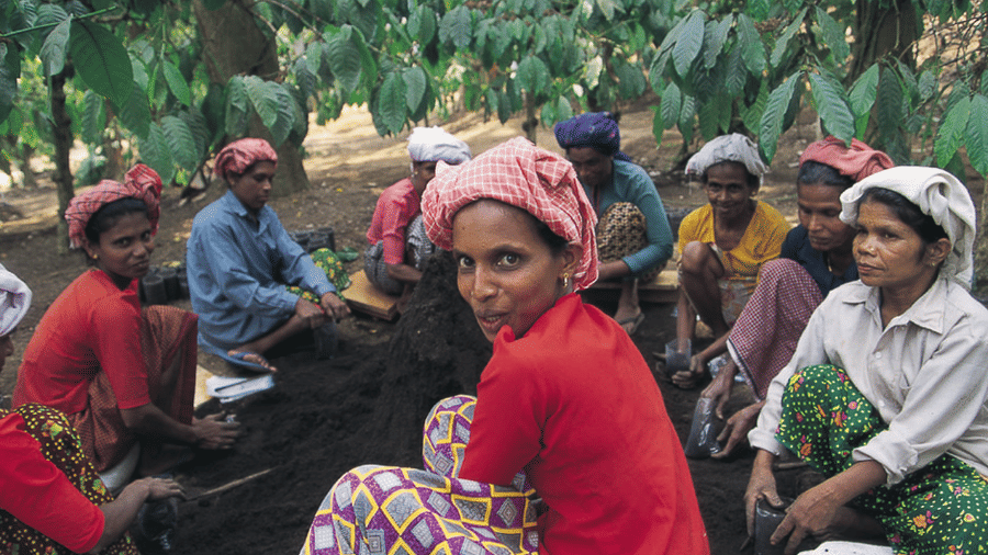 Tranquil Resort, Wayanad Wayanad coffee girls tranquil resort