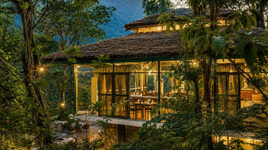 Glass-walled forest restaurant surrounded by lush greenery and hills, illuminated with warm lights for a serene dining experience.