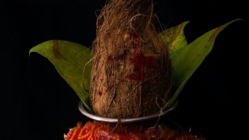 Coconut Festival