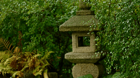 Small stone water feature in a lush green garden, with a wooden ladle resting over a bowl surrounded by plants.