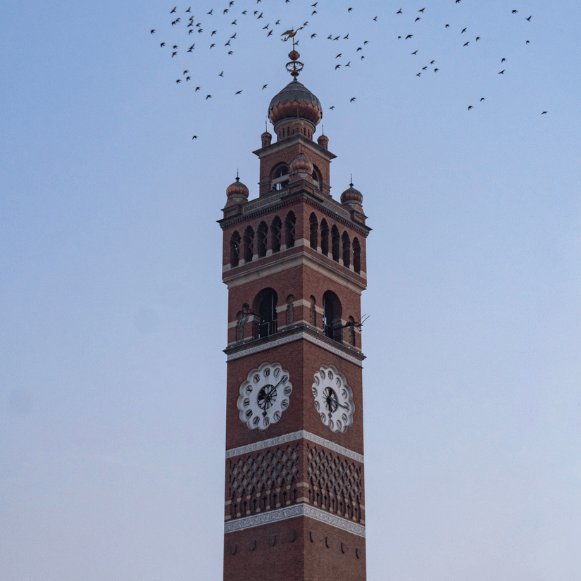 The Hussainabad Clock Tower in Lucknow standing tall against a clear blue sky in the background, with a flock of birds flying around the tip of the tower.