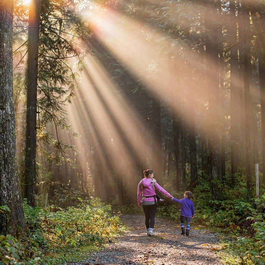 A woman and child walking hand in hand through the woods at sunset, creating a serene and peaceful scene.