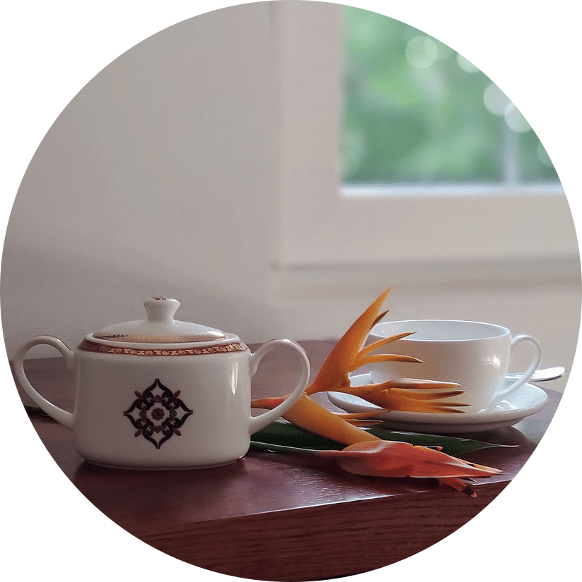 Teapot and cup on a table near a window with a flower-Amanvana Spa Resort, Coorg - Luxury Resort