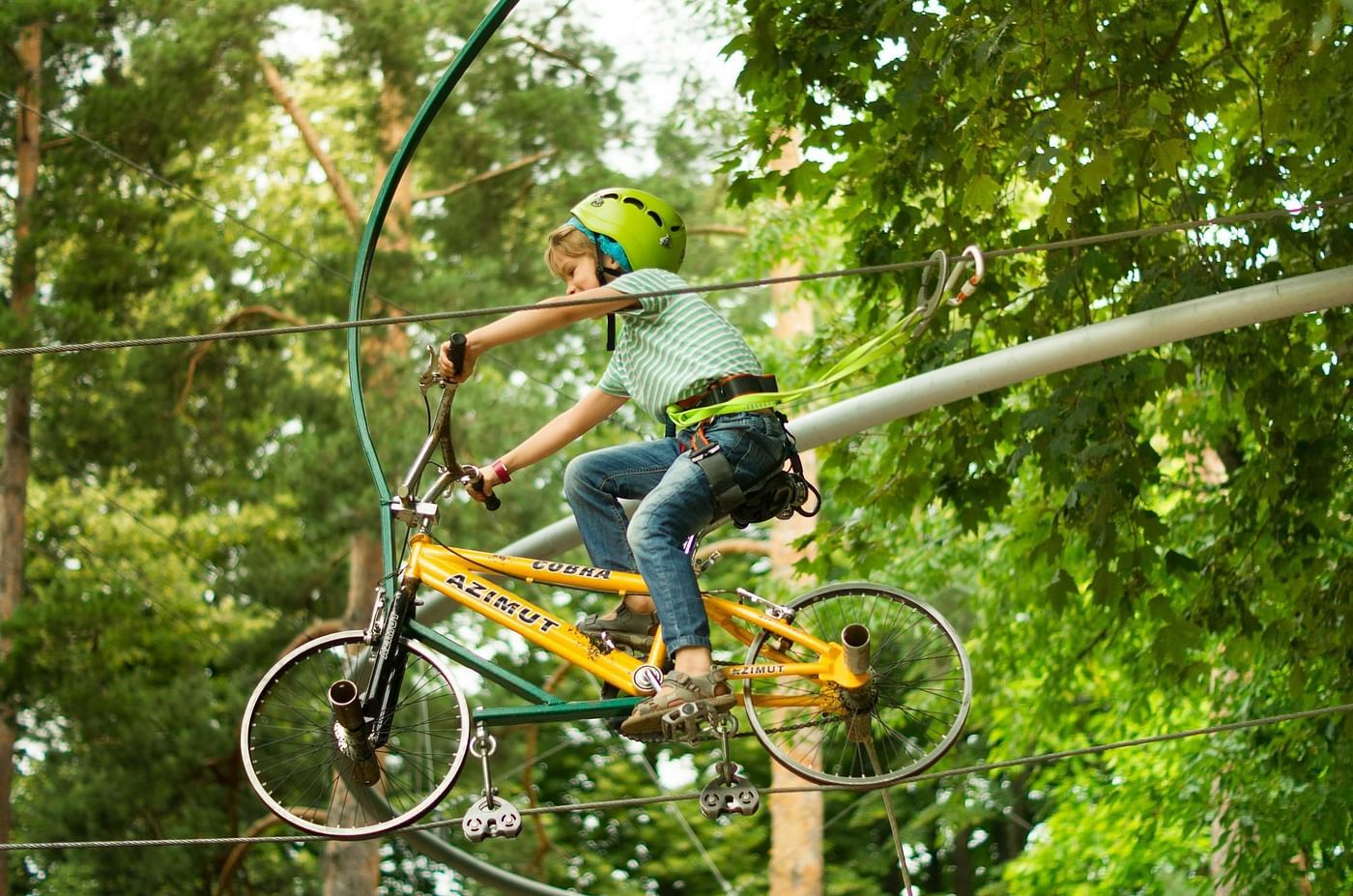 A person on a bicycle high above the ground on a narrow, elevated track amidst lush greenery. 