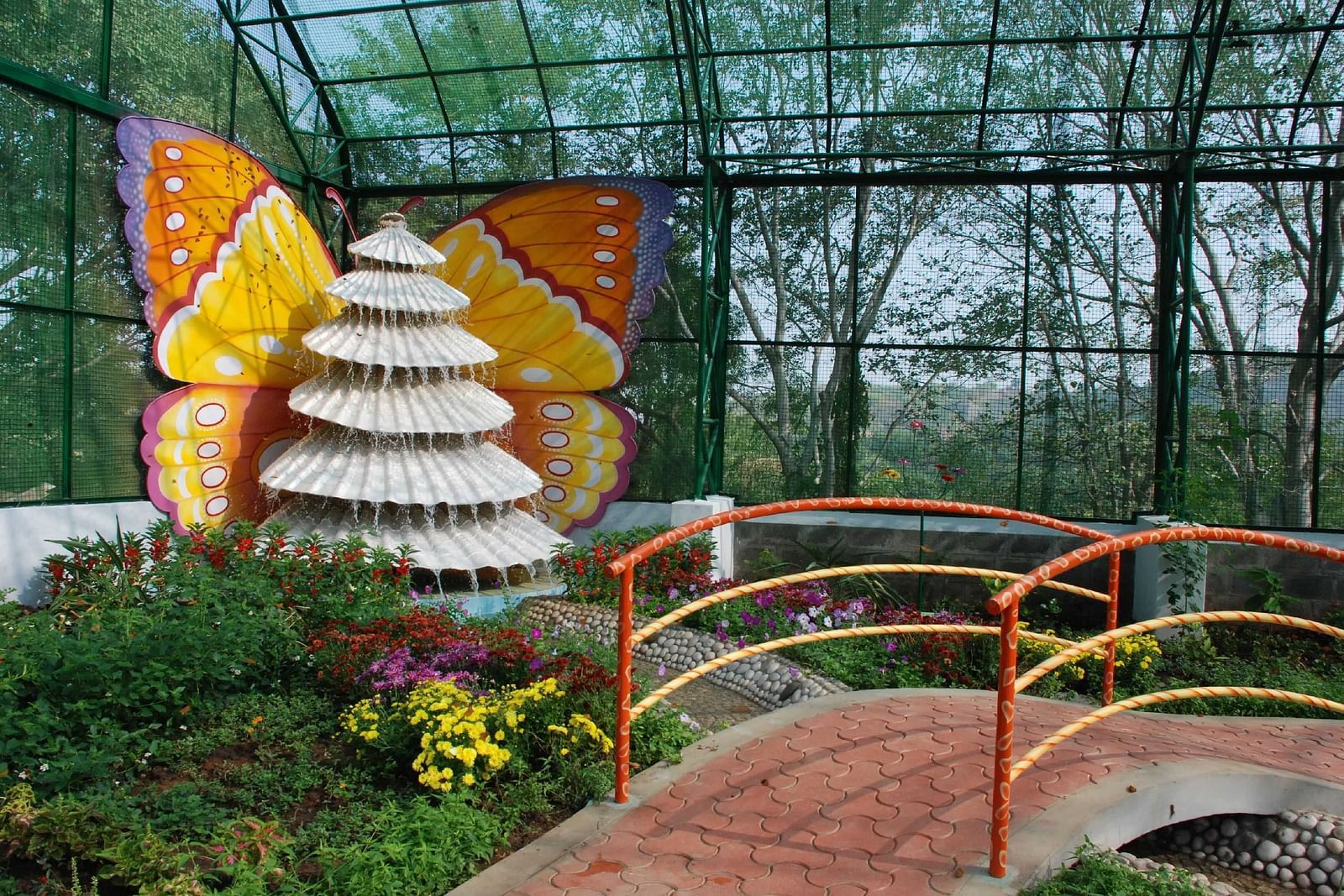 DSC 0025 (1)