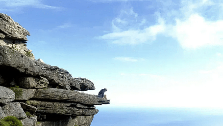A person sitting on the edge of a cliff overlooking a coastal city and the ocean.