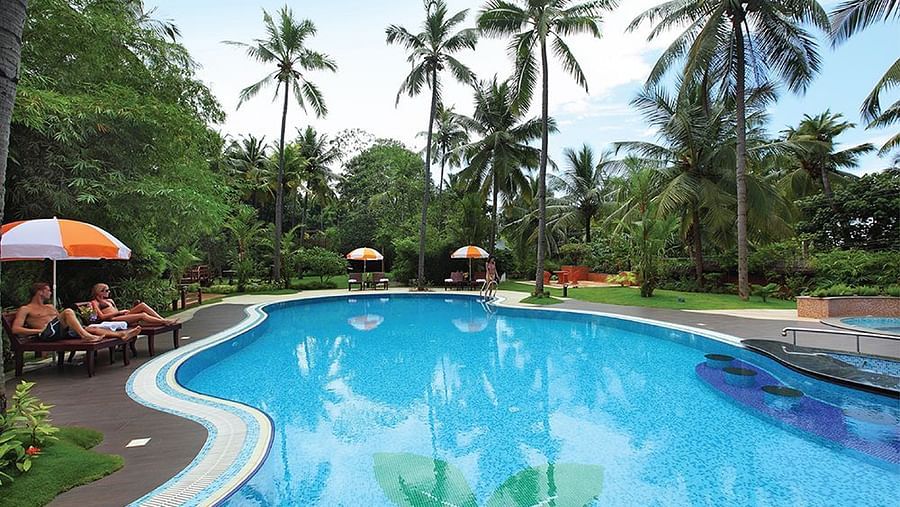 Pool area surrounded by coconut trees
