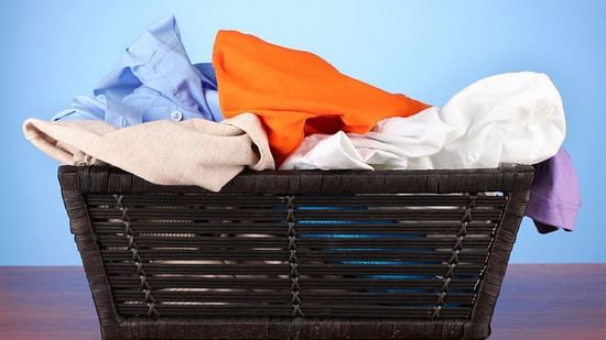 Hotel Hari Piorko New Delhi Laundry