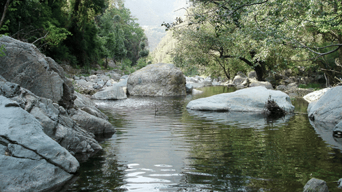 View of River at Talla in Ramgarh surrounded by large stones and trees - Ramgarh Bungalows, Nainital.