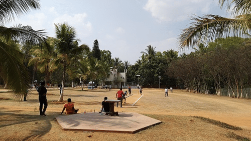 Fantasy Golf Resort Cricket