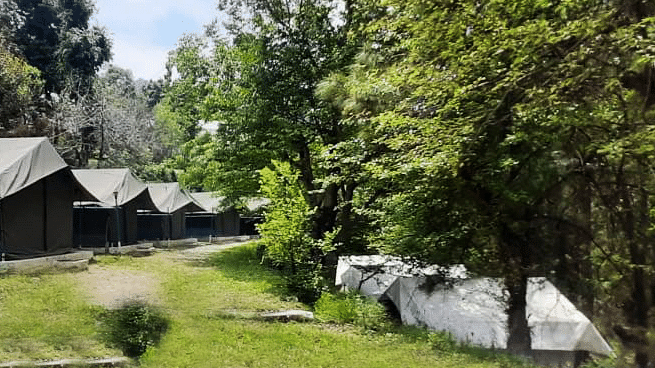 Let s Camp Junga Tents for camping in Chail 3