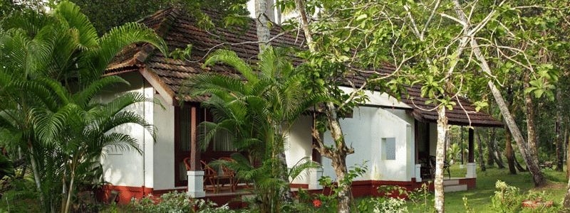 tmp 3114248851543388699