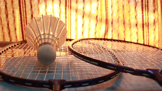 The Bungalows Lake Side, Naukuchiatal Naukuchiatal badminton-166415 960 720