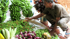 185464 10150238056429996 528638066 n