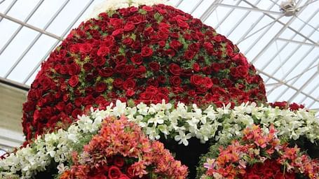 lalbagh-gardens-3
