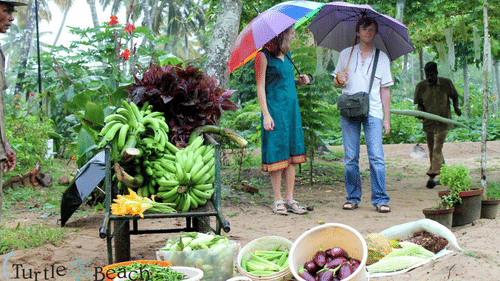 208628 10150238056124996 1782169454 n