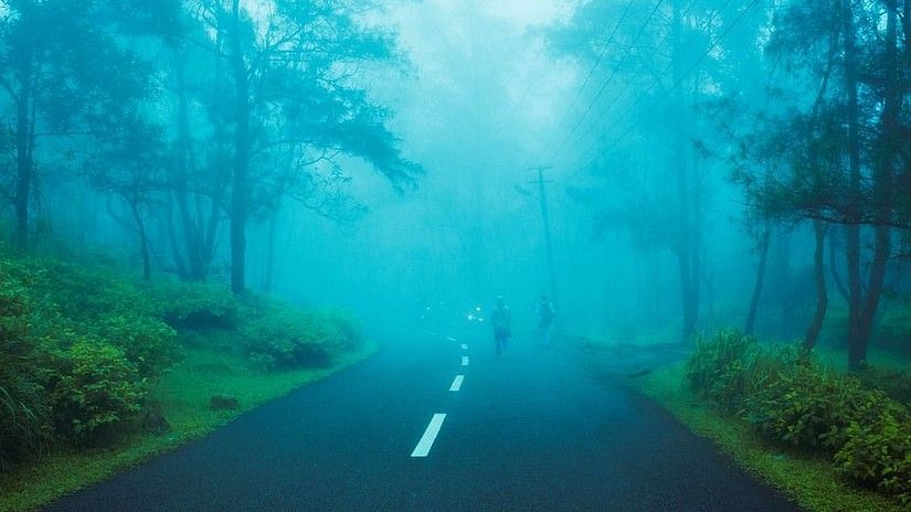 Enjoy Greenery with Sarovar Hotels, Shimla Sarovar Hotels, Sarovar Hotels, Sarovar Shimla