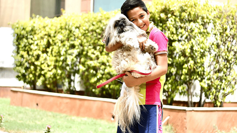 kid enjoying leisure time with his pet
