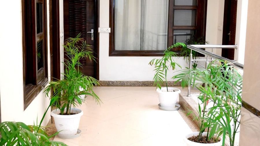 A bright and airy hotel hallway with potted plants and a modern aesthetic - Hotel Diamond Inn, Chandigarh
