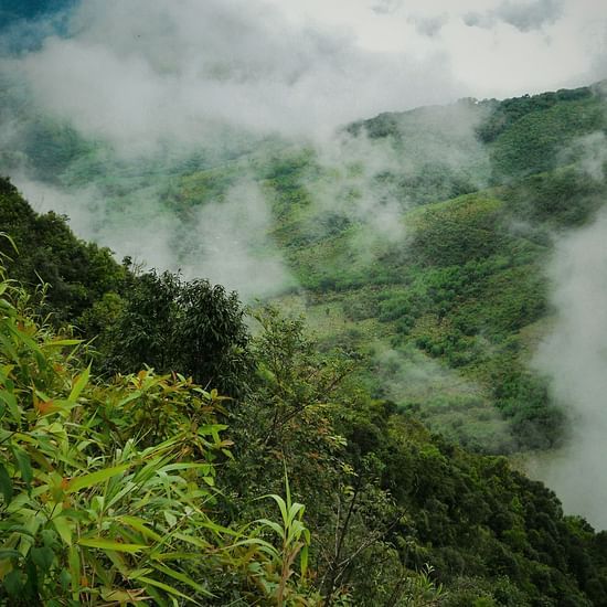 lush green hills of meghalaya is covered by mist