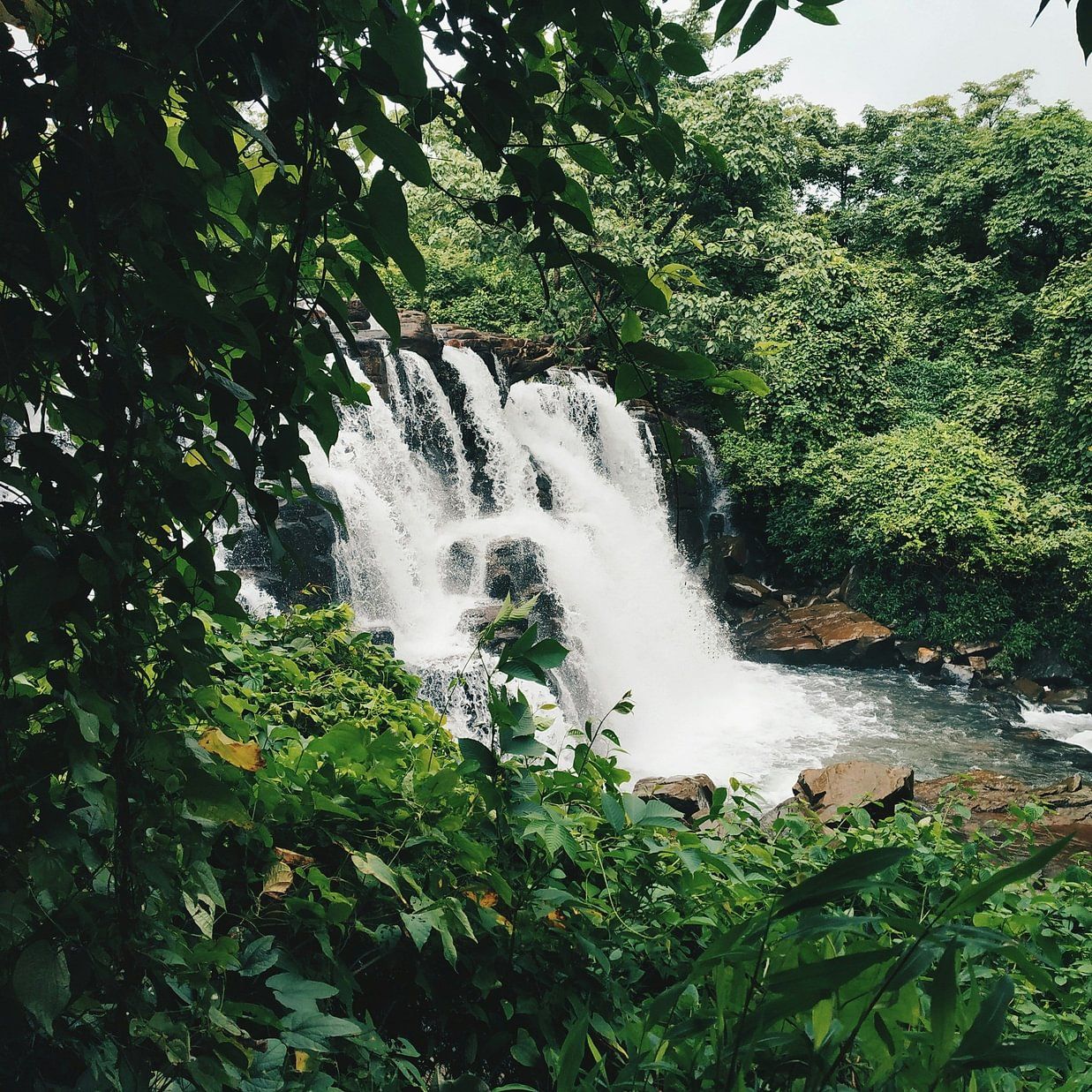 A picturesque waterfall nestled in dense tropical forest, partially framed by overhanging leaves.