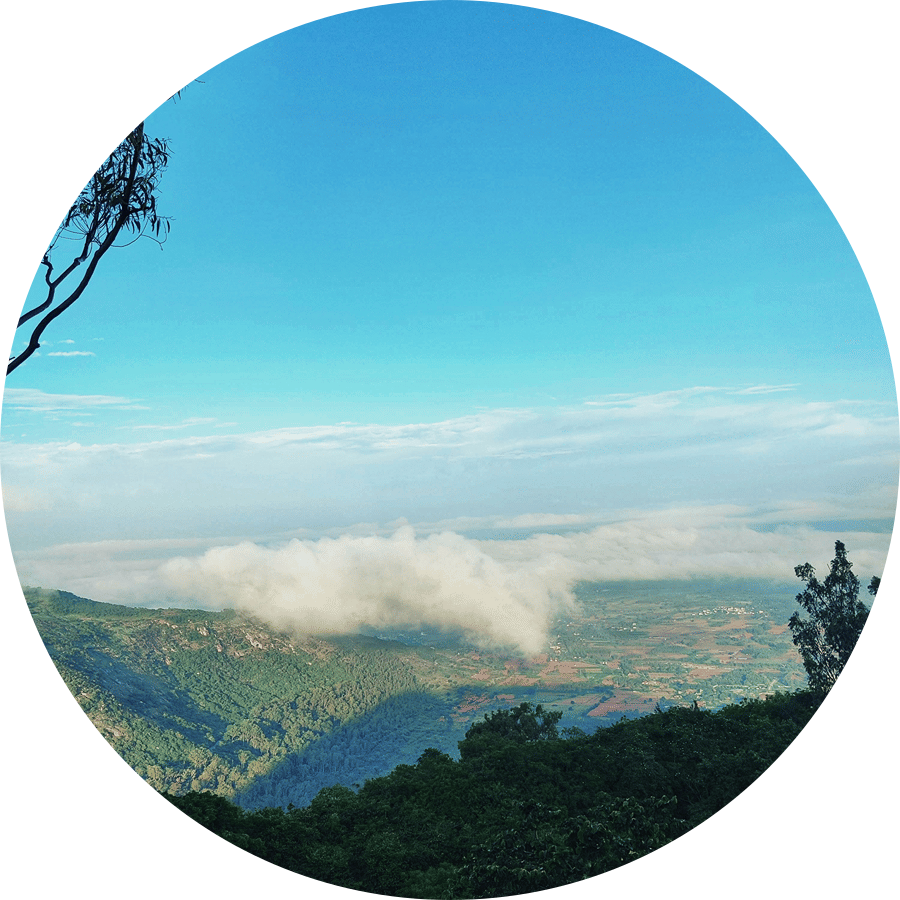 A scenic vantage point looking over lush green valleys and low-lying clouds beneath a clear sky
