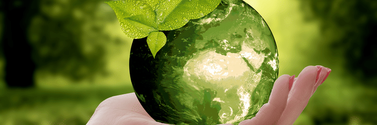 A hand cradling a green Earth globe topped with fresh leaves, set against a blurred background of a lush forest.