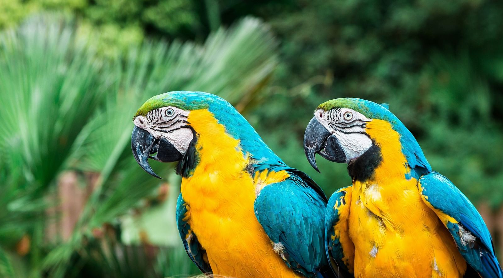 bruno-martins-BYY rYlZOkI-unsplash