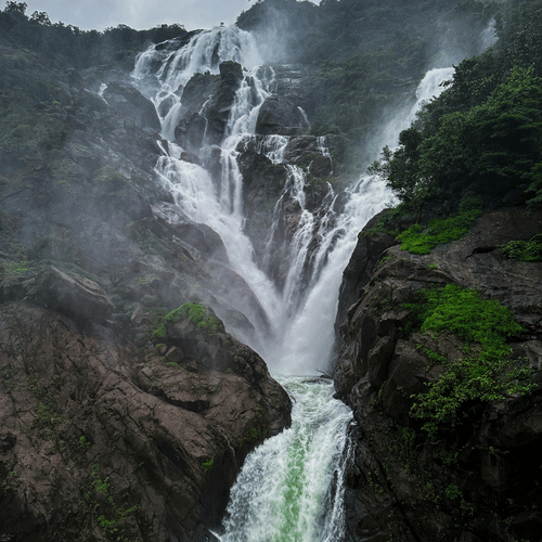 The Dudhsagar Waterfall cascading down a steep, rocky cliff surrounded by dense, vibrant green tropical foliage in the rain.