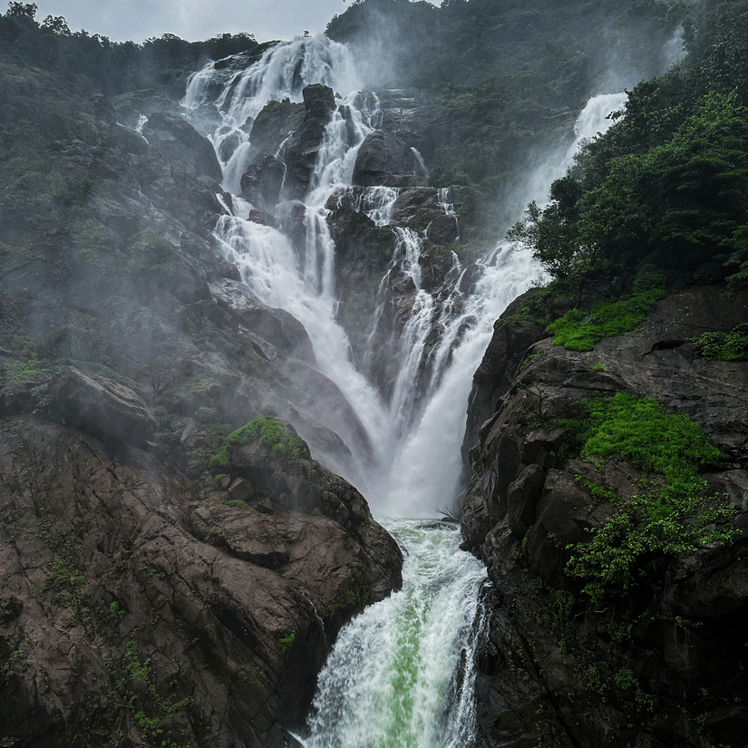 The Dudhsagar Waterfall cascading down a steep, rocky cliff surrounded by dense, vibrant green tropical foliage in the rain.